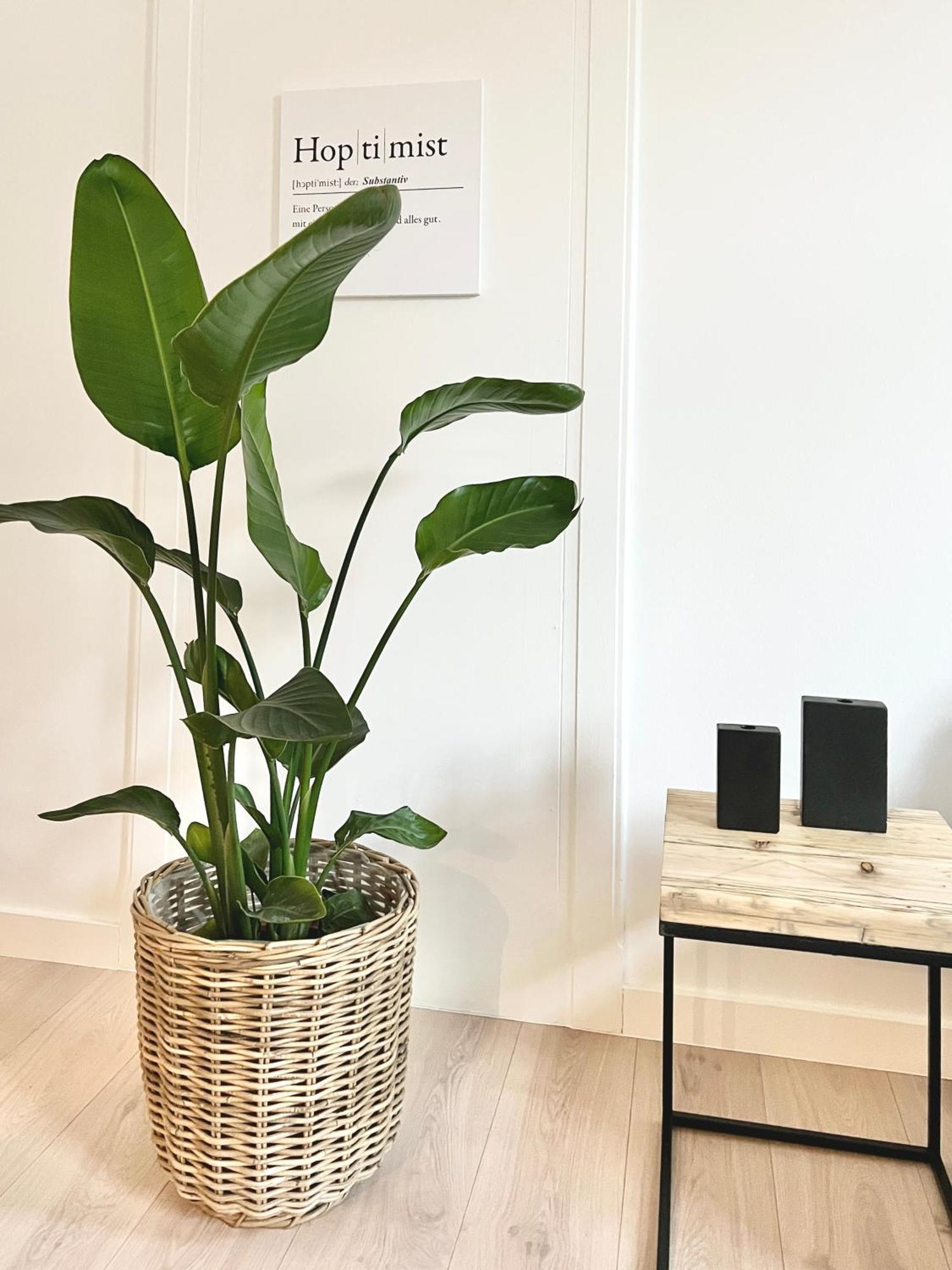 Makers And Rooms Apartment 01 Pauline 110Qm Parkplatz 1-4 Personen Detmold Buitenkant foto